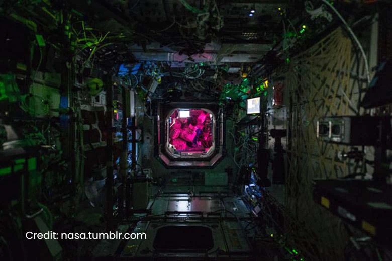 Helight Sleep inspiré par la NASA